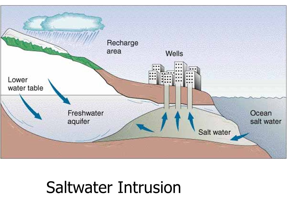Climate Adaptation and Saltwater Intrusion